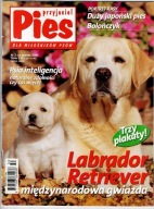 Przyjaciel Pies 3/2003