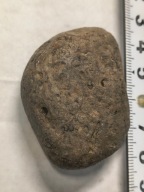 Agat mszysty muszlowy