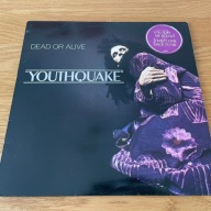 Dead Or Alive - Youthquake LP HOL NM