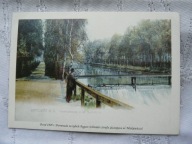 KATOWICE PROMENADA UL. MICKIEWICZA