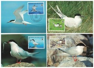 7-MC-GK29- Rep.Benin WWF, Ptaki-Mewy,1989r