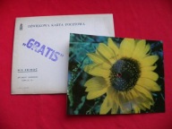 WOJTAN ŁADYSZ kiedyśmy wracali POCZTÓWKA DŹWIĘKOWA Ruch NOWA