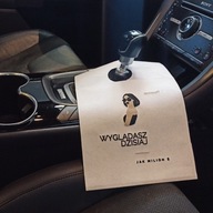 ładna torba śmietnik organizer do samochodu, auta