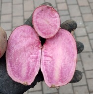 HEIDEROT ZDROWE CZERWONE RÓŻOWE ZIEMNIAKI 2KG