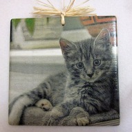 Robótkownia Kafelek obrazek 15x15 Kot koty Kotek bury