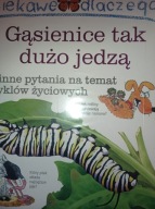 Ciekawe dlaczego gąsienice tak dużo jedzą Weber