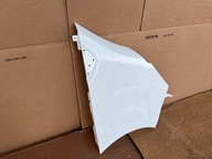 RENAULT TREFIC IV PRZEDNI PRAWY BŁOTNIK IDEALNY POZNAŃ GIEŁDA