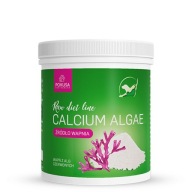 Suplement wapnia dla psa kota Pokusa RawDiet Calcium Algae wapń z alg 450g