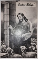 ALLELUJA WIELKANOC JEZUS DOBRY PASTERZ OWCE PRL