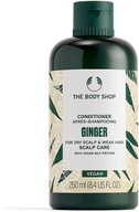 the BODY SHOP_odżywka do włosów_BODY CONDITIONER GINGER SCALP CARE PROMO
