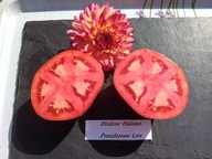 Pomidor Stallion Italiano włoska odmiana heirloom nasiona kolekcjonerskie