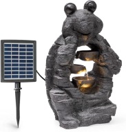 fontanna blumfeldt Albert żółw