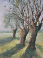 Stare wierzby drzewa Akwarela Sabina Salamon 38x 29