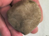 Skamieliny koralowce minerały