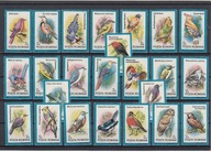 Ptaki, Rumunia, znaczki czyste