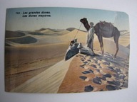 STARA POCZTÓWKA EGIPT PUSTYNIA WIELBŁĄD