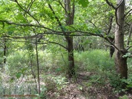 Działka, Piaseczno, Piaseczno, Piaseczyński, 1705 m²