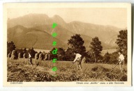 Zakopane- Górale przy kośbie siana pod Giewontem