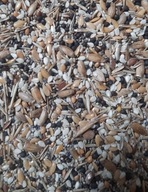 Mieszanka ziaren dla Messor barbarus 15gram/ 25ml. 9 składników!