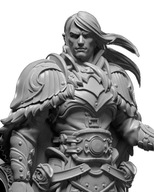 Levin Male Dark Elf Drow Hero Fighter RPG D&D Druk3D