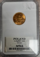 5 groszy 1949 Próba Mosiądz bez napisu - Bardzo Rzadka