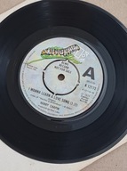 Harry Chapin – I Wanna Learn A Love Song - 7" - EX
