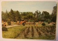 SPAŁA. Fragment parku CZYSTA 1972 rok