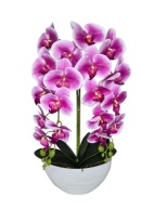 Sztuczny Storczyk gumowy w Doniczce Dwa Pędy Orchidea na Prezent
