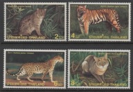 Tajlandia ** - dzikie koty