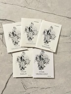 Nasiona tytoniu 5 odmian Tytoń Virginia Havana Burlay