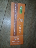 Używany bilet Wisła II Płock - Pogoń Grodzisk 12.06.2024 Finał pucharu MZPN