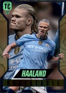 Panini Top Class 2025 Karta kolekcjonerska ERLING HAALAND 262 ZŁOTA GOLD