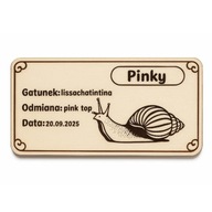 GRAWEROWANA PLAKIETKA DLA ŚLIMAKA AFRYKAŃSKIEGO DO TERRARIUM IMIĘ, GATUNEK
