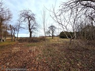 Działka, Skała, Krakowski, 1253 m²