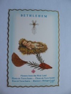 BETLEJEM KWIATY Z ZIEMI ŚWIĘTEJ stary ŚW. OBRAZEK-RELIKWIA