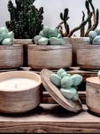 KAKTUS GLOW M – świeca sojowa w pojemniku z kaktusem Na prezent