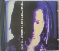 Terence Trent D'Arby Symphony Or Damn EX CD Irl