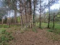 Działka, Strzeniówka, Nadarzyn, Pruszkowski, 1130 m²