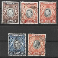 KUT D782 fauna żurawie JV i JVI odmiany perforacji