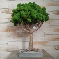 drzewko szczęścia chrobotek