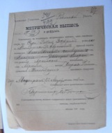 Akt urodzenia dokument carski Żyda Sura Zafrin Międzyrzec judaika 1886