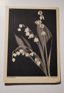 Kartka z obiegu.Kwiaty. 04401