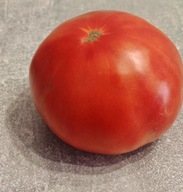Pomidor Aussie (28) nasiona kolekcjonerskie