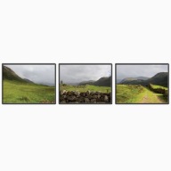 Zestaw plakatów-tryptyk szkockie pastwiska 3*40x30
