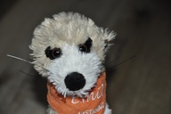 pluszak maskotka fajna surykatka od Semo 30 cm