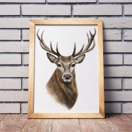 Plakat dekoracyjny A3 Jeleń Grafika Artystyczna do pokoju natura prezent
