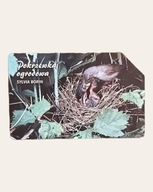 karta telefoniczna tp POKRZYWKA OGRODOWA