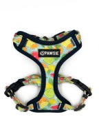 Szelki dla psa kota step in bezuciskowe guard Cytrusy XXS Chihuahua Pomek