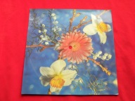 JANTAR panna na wydaniu POCZTÓWKA DŹWIĘKOWA 1977 PRiTV