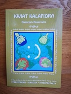 Streszczenie/opracowanie lektury Kwiat kalafiora Małgorzata Musierowicz.